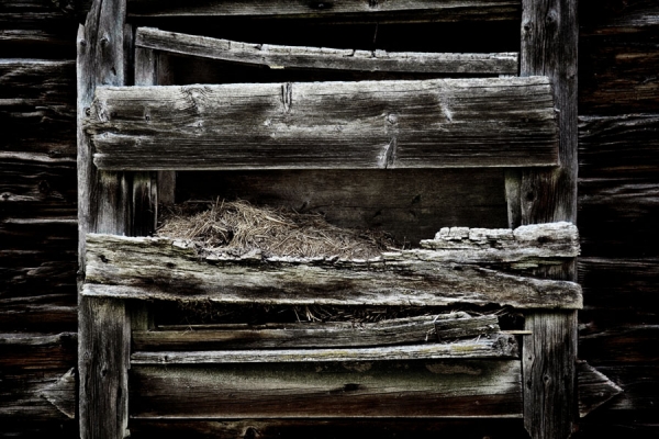 Photograph Egon Gade Barn, Sweden on One Eyeland